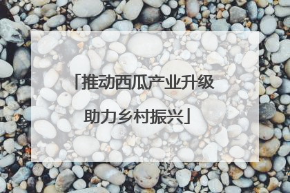 推动西瓜产业升级 助力乡村振兴