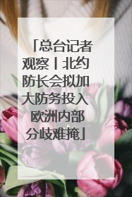总台记者观察丨北约防长会拟加大防务投入 欧洲内部分歧难掩
