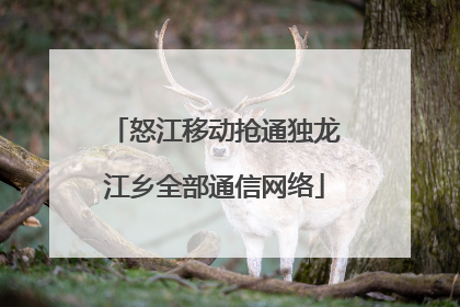 怒江移动抢通独龙江乡全部通信网络
