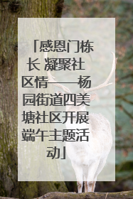 感恩门栋长 凝聚社区情——杨园街道四美塘社区开展端午主题活动