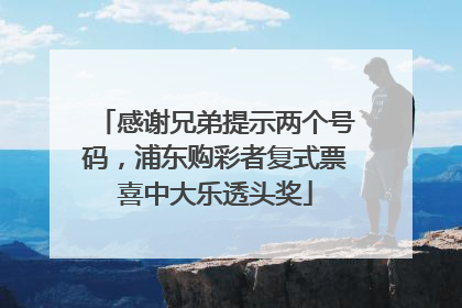 感谢兄弟提示两个号码，浦东购彩者复式票喜中大乐透头奖