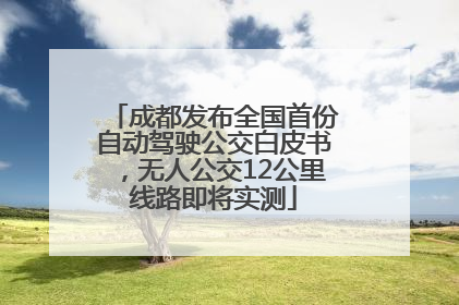 成都发布全国首份自动驾驶公交白皮书，无人公交12公里线路即将实测