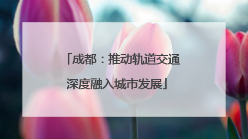成都：推动轨道交通深度融入城市发展