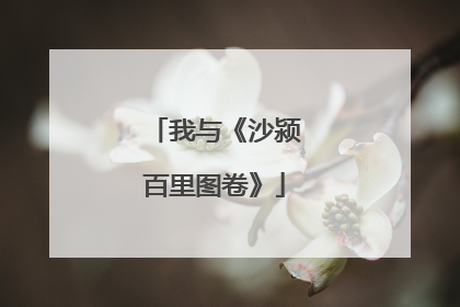 我与《沙颍百里图卷》