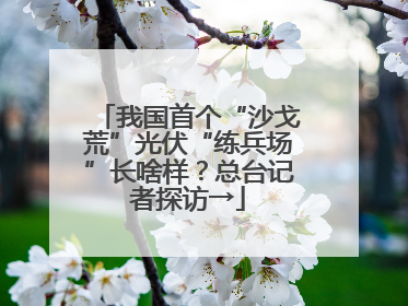 我国首个“沙戈荒”光伏“练兵场”长啥样？总台记者探访→