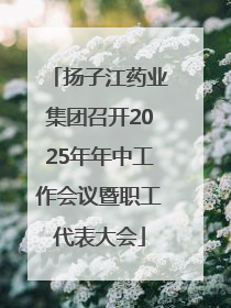 扬子江药业集团召开2025年年中工作会议暨职工代表大会