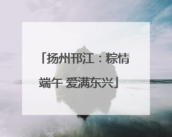 扬州邗江：粽情端午 爱满东兴
