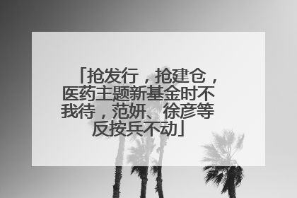 抢发行，抢建仓，医药主题新基金时不我待，范妍、徐彦等反按兵不动