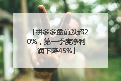 拼多多盘前跌超20%，第一季度净利润下降45%