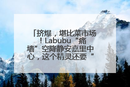 挤爆，堪比菜市场！Labubu“痛墙”空降静安嘉里中心，这个精灵还要“突袭”便利店？