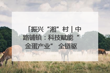 振兴“湘”村｜中路铺镇：科技赋能“金蛋产业” 全链驱动乡村振兴