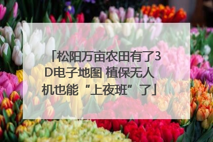 松阳万亩农田有了3D电子地图 植保无人机也能“上夜班”了