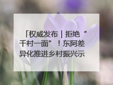权威发布｜拒绝“千村一面”！东阿差异化推进乡村振兴示范片区建设