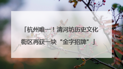 杭州唯一！清河坊历史文化街区再获一块“金字招牌”