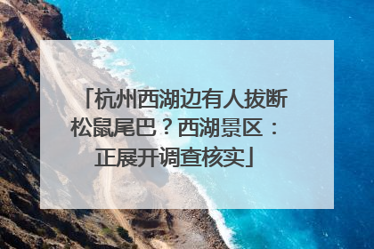 杭州西湖边有人拔断松鼠尾巴？西湖景区：正展开调查核实