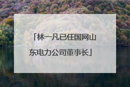 林一凡已任国网山东电力公司董事长