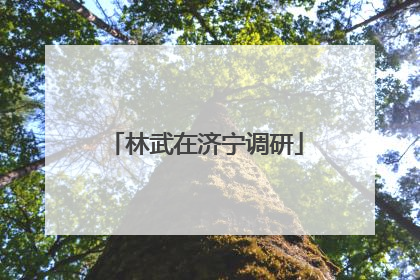 林武在济宁调研