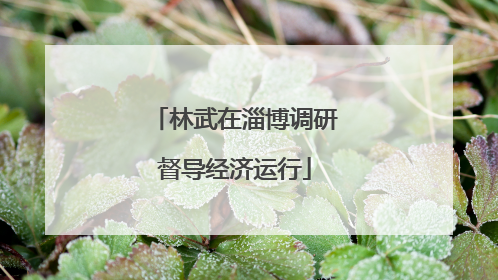 林武在淄博调研督导经济运行