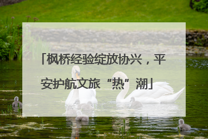 枫桥经验绽放协兴，平安护航文旅“热”潮