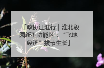 政协江淮行｜淮北段园新型功能区：“飞地经济”拔节生长