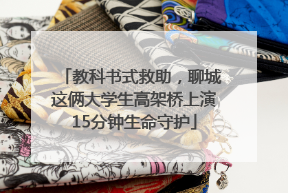 教科书式救助，聊城这俩大学生高架桥上演15分钟生命守护
