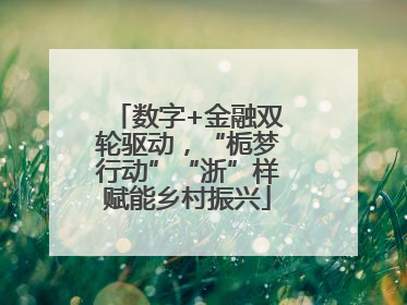 数字+金融双轮驱动，“栀梦行动”“浙”样赋能乡村振兴