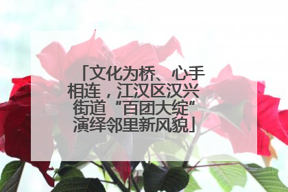 文化为桥、心手相连，江汉区汉兴街道“百团大绽”演绎邻里新风貌