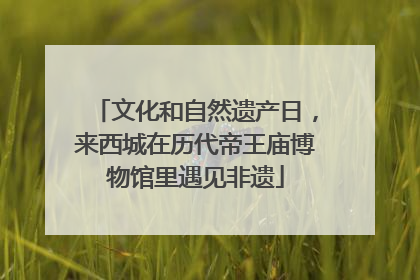文化和自然遗产日，来西城在历代帝王庙博物馆里遇见非遗