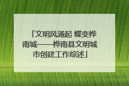 文明风涌起 蝶变桦南城——桦南县文明城市创建工作综述