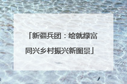 新疆兵团：绘就绿富同兴乡村振兴新图景