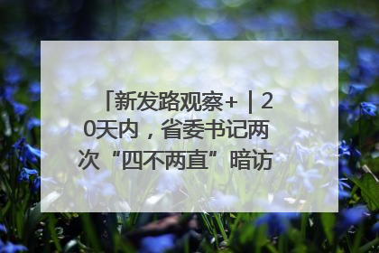 新发路观察+｜20天内，省委书记两次“四不两直”暗访，有何深意？
