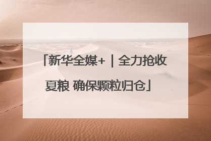 新华全媒+｜全力抢收夏粮 确保颗粒归仓