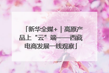 新华全媒+｜高原产品上“云”端——西藏电商发展一线观察