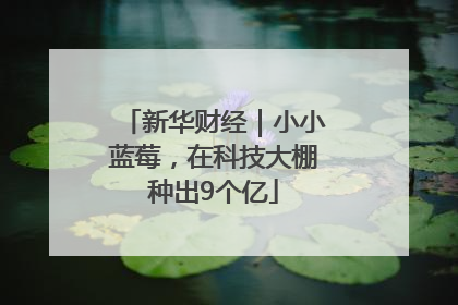 新华财经｜小小蓝莓，在科技大棚种出9个亿