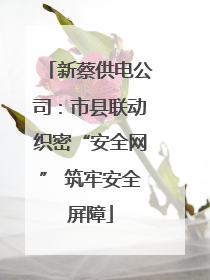 新蔡供电公司：市县联动织密“安全网” 筑牢安全屏障