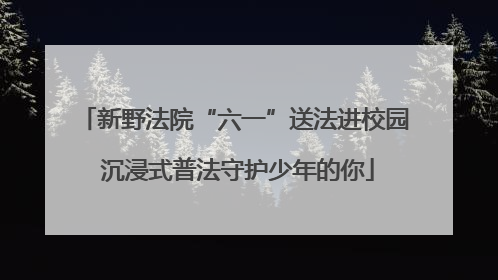 新野法院“六一”送法进校园 沉浸式普法守护少年的你