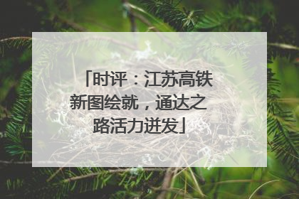 时评：江苏高铁新图绘就，通达之路活力迸发