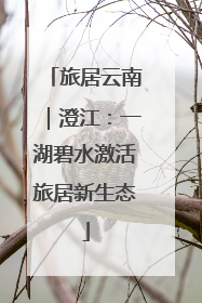 旅居云南｜澄江：一湖碧水激活旅居新生态