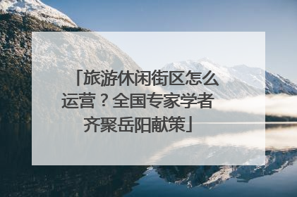 旅游休闲街区怎么运营？全国专家学者齐聚岳阳献策