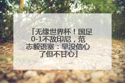 无缘世界杯！国足0-1不敌印尼，范志毅语塞：早没信心了但不甘心