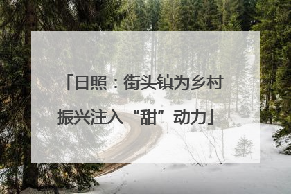 日照：街头镇为乡村振兴注入“甜”动力