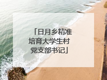 日月乡精准培育大学生村党支部书记