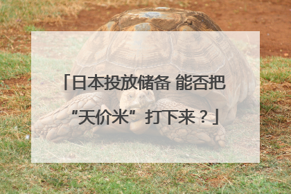 日本投放储备 能否把“天价米”打下来？