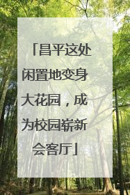 昌平这处闲置地变身大花园，成为校园崭新会客厅