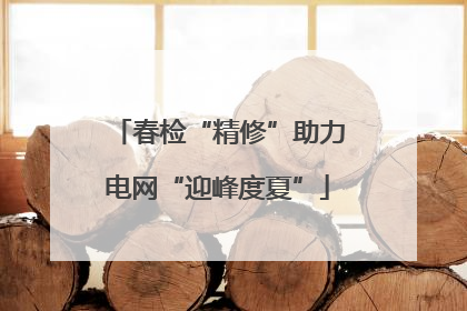 春检“精修”助力电网“迎峰度夏”