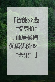 智能分选“提身价”，仙居杨梅优质优价变“金果”