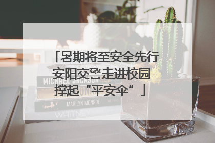 暑期将至安全先行 安阳交警走进校园撑起“平安伞”
