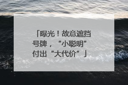 曝光！故意遮挡号牌，“小聪明”付出“大代价”