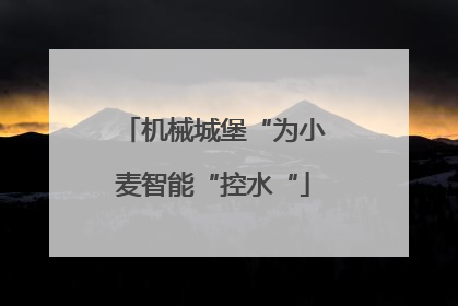 机械城堡“为小麦智能“控水“