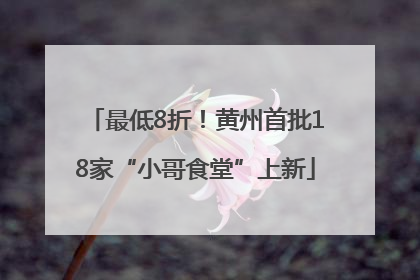 最低8折！黄州首批18家“小哥食堂”上新
